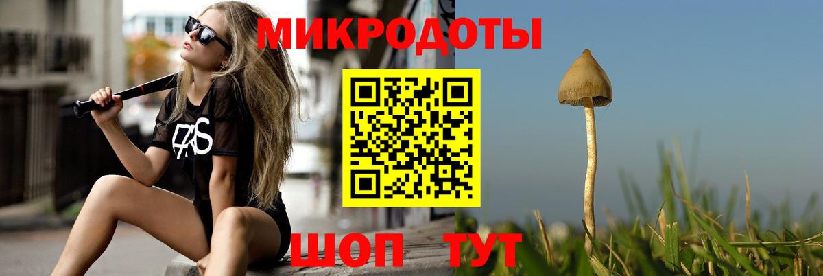 Каменск-Шахтинский  где купить наркотик  Вход с VPN  Псилоцибиновые грибы Psilocybe 